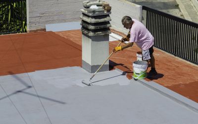 Tpo Roof Coating Service detail